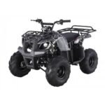 Tao Motor D125 Kids ATVs - Image 2