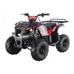 Tao Motor D125 Kids ATVs - Image 3