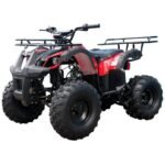 Tao T Force T125 Mid Size ATV - Image 3