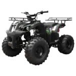 Tao T Force T125 Mid Size ATV - Image 4