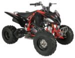 Regency PRO Ultra Sport 250cc ATV - Image 2