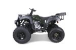 Taotao 250 Rhino Adult Utility ATV - Image 8