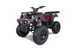 Taotao 250 Rhino Adult Utility ATV - Image 7