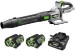 EGO Power+ Leaf Blower, Cordless Electric 880 CFM, Includes (2) 56V 4.0Ah Batteries and Charger - LB8803-2  Electronics - Style : 880 CFM w/(2) 4.0Ah Batteries